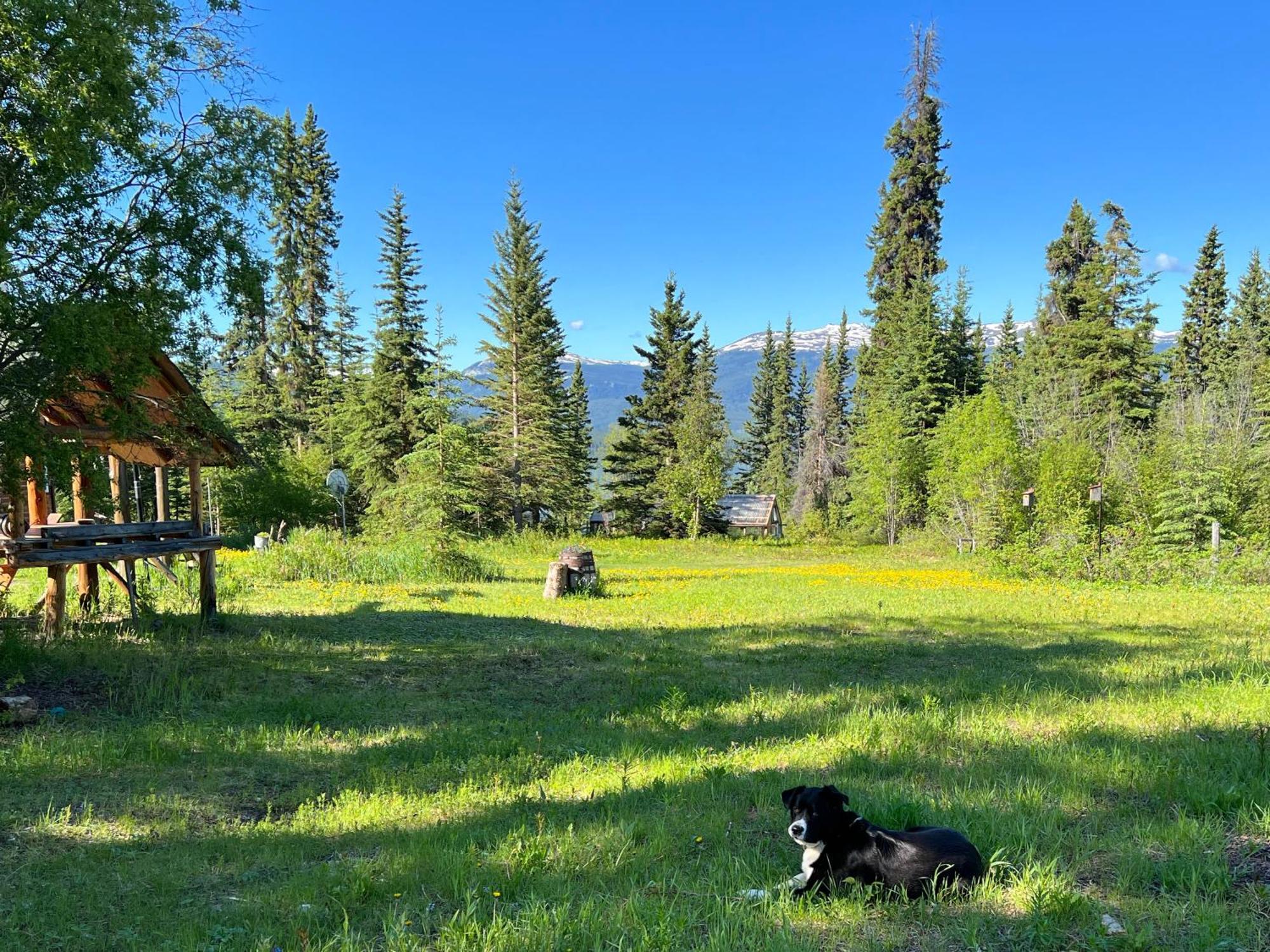 Little Atlin Lodge Tagish Extérieur photo